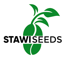stawi seeds